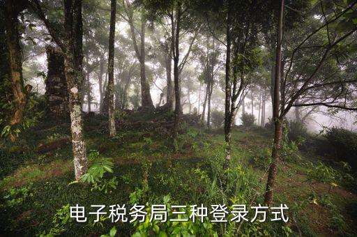 遼寧省網(wǎng)上稅務局如何登錄，可以用手機登陸遼寧省電子稅務局嗎