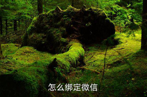 微信如何綁定深圳國(guó)稅，怎么綁定微信