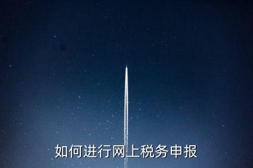 如何進行網(wǎng)上稅務申報
