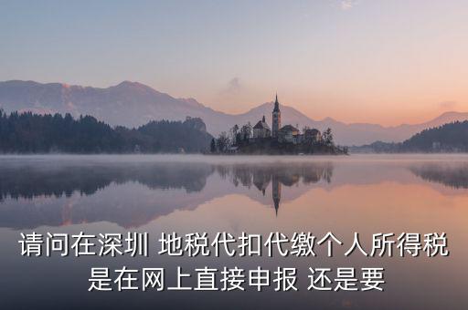 請問在深圳 地稅代扣代繳個(gè)人所得稅 是在網(wǎng)上直接申報(bào) 還是要