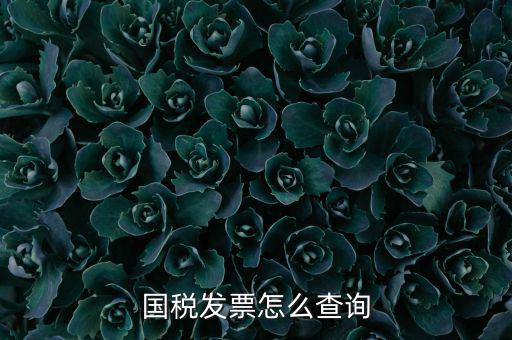 深圳市國(guó)稅局郵寄發(fā)票如何查詢，國(guó)稅發(fā)票怎么查詢