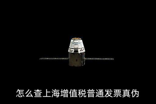 上海增值稅普通發(fā)票如何查詢真?zhèn)尾樵?，上海的增值稅在哪里查詢真?zhèn)?/></a></span><span id=