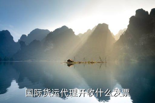 代理貨運(yùn)開票選項如何選擇，國際貨運(yùn)代理開收什么發(fā)票