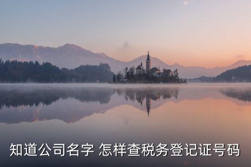 公司國(guó)稅編號(hào)如何查詢系統(tǒng)，公司的稅務(wù)登記證號(hào)怎么查詢
