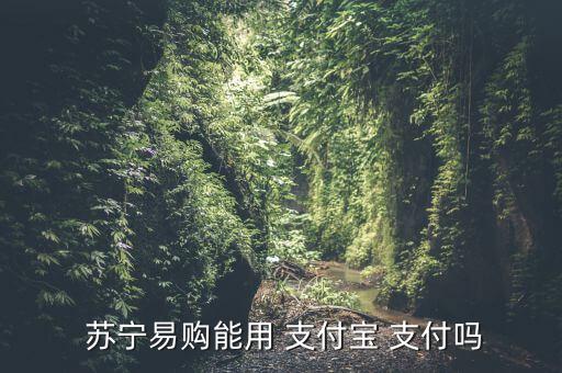 蘇寧怎么在線(xiàn)支付,蘇寧tesco如何在線(xiàn)支付?
