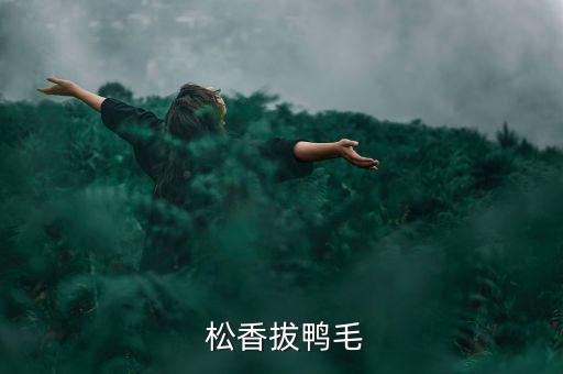 松香怎么調配脫鴨毛,先用松香燒開鴨子毛孔會變松弛