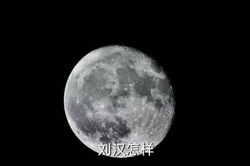 劉漢資產(chǎn)怎么處理,劉漢，四川漢龍集團(tuán)原董事長