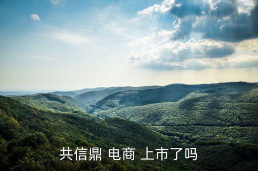 電商怎么上市,南極電商在納斯達(dá)克上市騰訊、慧聰網(wǎng)香港上市