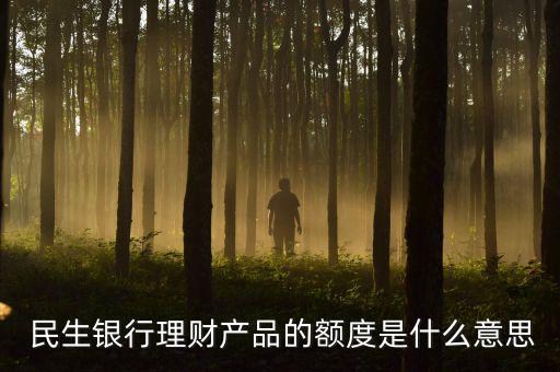 民生銀行并購貸款怎么做,民生銀行網(wǎng)銀對(duì)賬操作如下