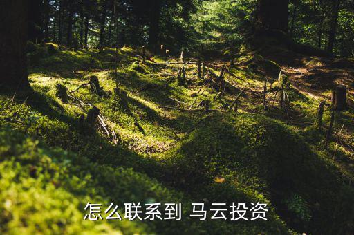 怎么像馬云貸款,沒有馬云時(shí)代，只有錢花時(shí)代怎么找投資人?