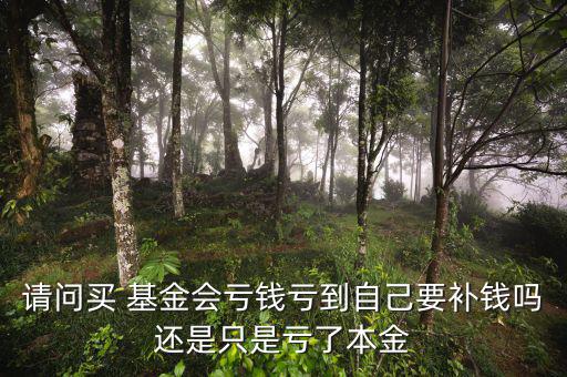 請(qǐng)問買 基金會(huì)虧錢虧到自己要補(bǔ)錢嗎還是只是虧了本金