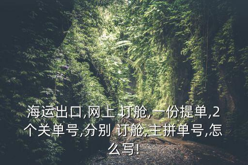 海運(yùn)出口,網(wǎng)上 訂艙,一份提單,2個(gè)關(guān)單號(hào),分別 訂艙,主拼單號(hào),怎么寫(xiě)!