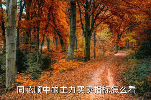  同花順中的主力買(mǎi)賣(mài)指標(biāo)怎么看