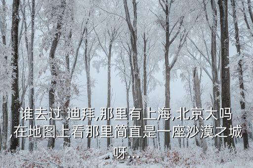 誰去過 迪拜,那里有上海,北京大嗎,在地圖上看那里簡(jiǎn)直是一座沙漠之城呀...
