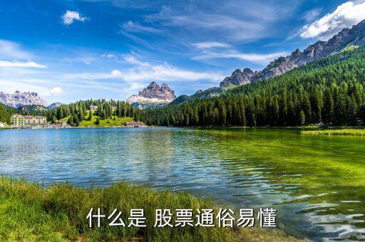 怎么懂股票,股票基礎(chǔ)、股票定投、投資書籍等資源免費下載