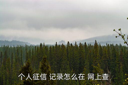 網(wǎng)上怎么樣查信用記錄,個人信用報(bào)告可在14或24小時內(nèi)查看