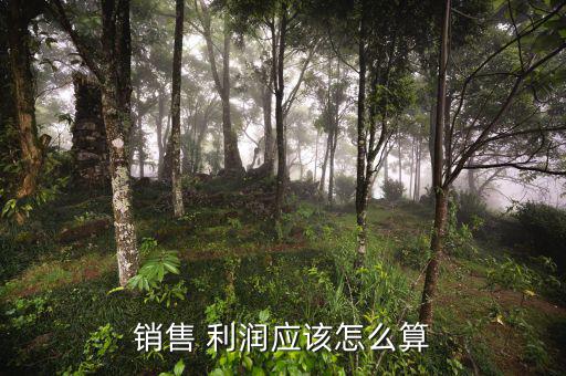 銷售 利潤應該怎么算