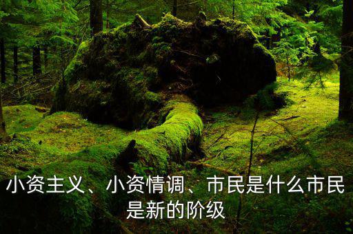 小資主義、小資情調(diào)、市民是什么市民是新的階級