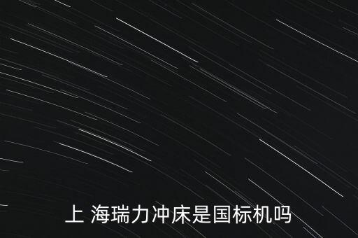 上 海瑞力沖床是國標(biāo)機嗎