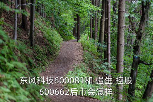 東風科技600081和 強生 控股600662后市會怎樣