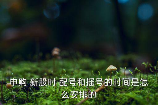 申購 新股時(shí) 配號和搖號的時(shí)間是怎么安排的