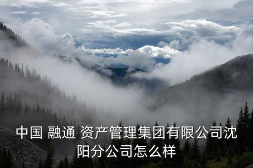 中國 融通 資產管理集團有限公司沈陽分公司怎么樣