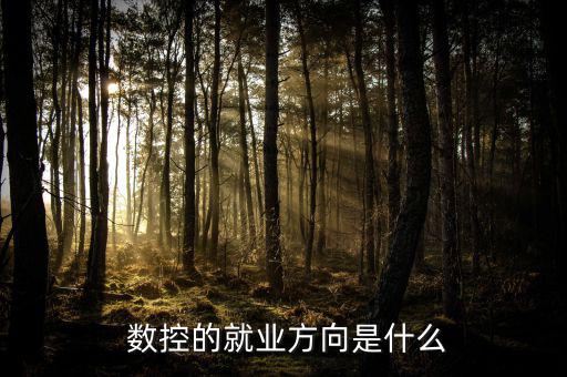 法因數(shù)控怎么樣,數(shù)控設(shè)備管理高級(jí)技術(shù)型、應(yīng)用型專業(yè)人才