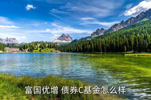 嘉實債券怎么樣,短債基金包括諾安債券、友邦短債、嘉實超短債