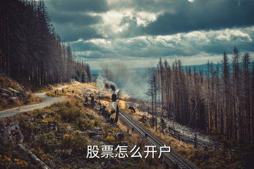  股票怎么開(kāi)戶