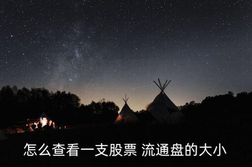 怎么查看一支股票 流通盤(pán)的大小