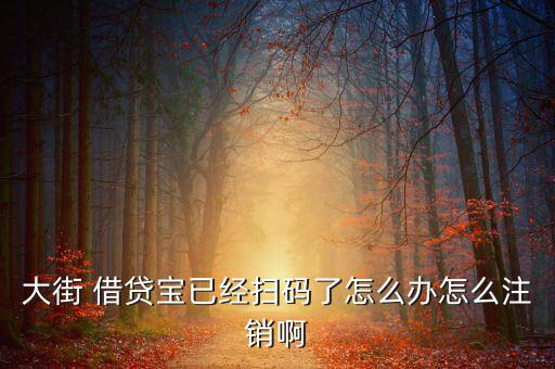 大街 借貸寶已經掃碼了怎么辦怎么注銷啊