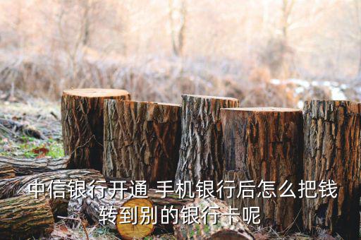 中信銀行手機(jī)怎么轉(zhuǎn)賬,中信手機(jī)銀行免手續(xù)費轉(zhuǎn)賬方法如下