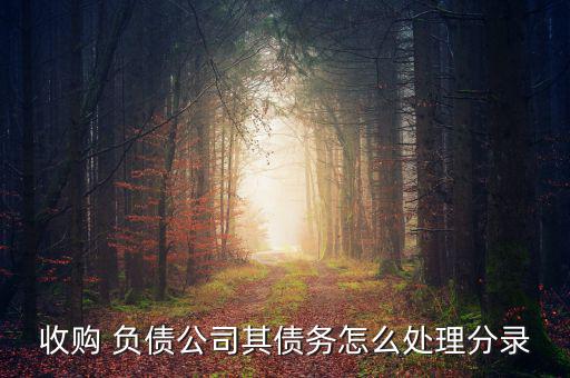 收購 負債公司其債務(wù)怎么處理分錄