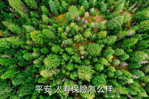 安達人壽保險怎么樣,人壽保險分類:1.7、風(fēng)險保障型壽保