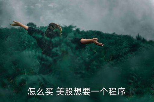 怎么買(mǎi) 美股想要一個(gè)程序