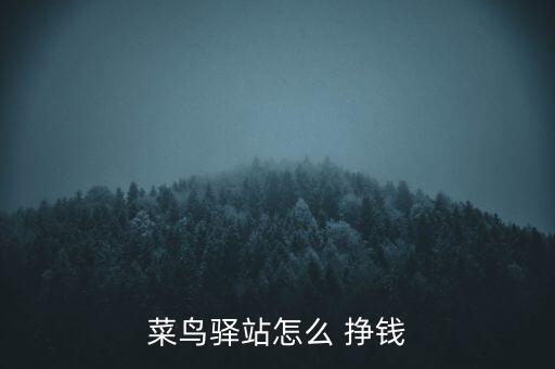 菜鳥(niǎo)驛站怎么 掙錢(qián)