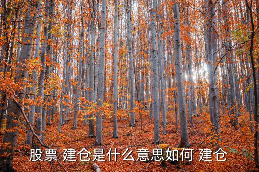 怎么建倉,股票做市商建倉:先尋找目標股票再分批買入