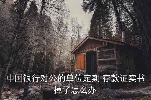 中國銀行對(duì)公的單位定期 存款證實(shí)書掉了怎么辦