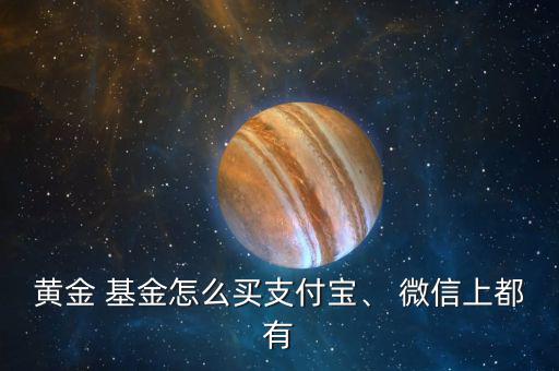 黃金 基金怎么買支付寶、 微信上都有