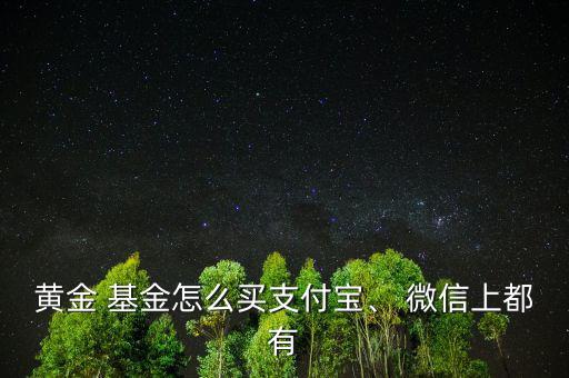 黃金 基金怎么買支付寶、 微信上都有