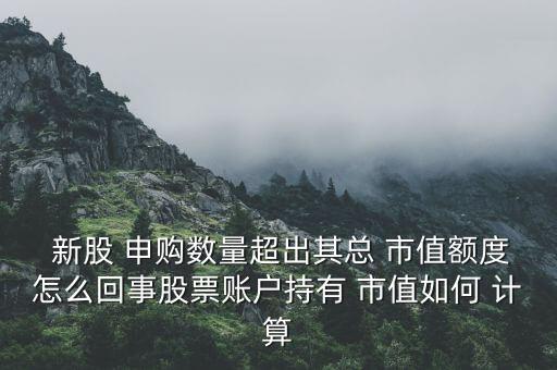  新股 申購(gòu)數(shù)量超出其總 市值額度怎么回事股票賬戶(hù)持有 市值如何 計(jì)算
