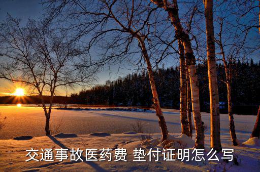 交通事故醫(yī)藥費(fèi) 墊付證明怎么寫(xiě)