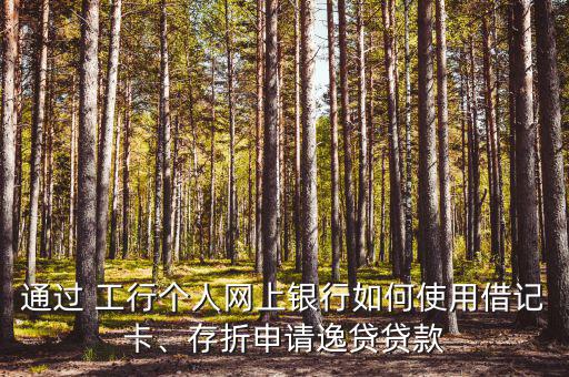 通過 工行個人網(wǎng)上銀行如何使用借記卡、存折申請逸貸貸款