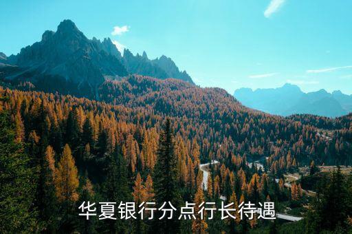  華夏銀行分點(diǎn)行長待遇