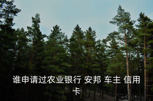 誰(shuí)申請(qǐng)過(guò)農(nóng)業(yè)銀行 安邦 車(chē)主 信用卡