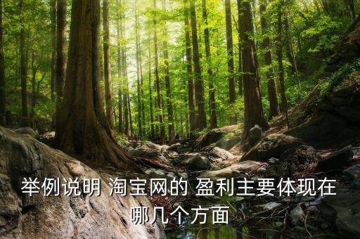 舉例說(shuō)明 淘寶網(wǎng)的 盈利主要體現(xiàn)在哪幾個(gè)方面