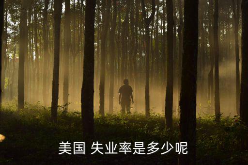 美國失業(yè)率怎么算,白宮經(jīng)濟顧問預(yù)測美國失業(yè)率將達(dá)20%