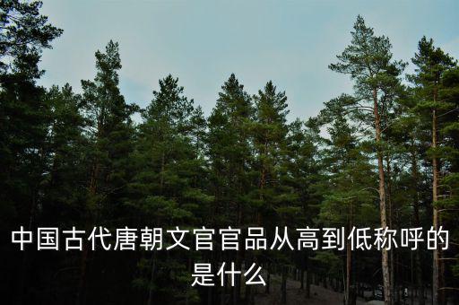 中國(guó)古代唐朝文官官品從高到低稱呼的是什么