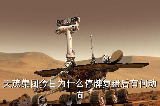 天茂集團(tuán)什么時(shí)候開盤，天茂集團(tuán)今日為什么停牌復(fù)盤后有何動(dòng)向