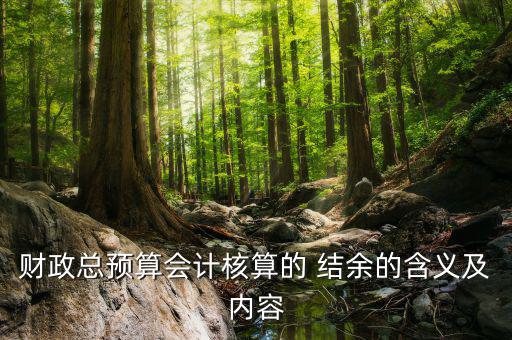 財(cái)政總預(yù)算會計(jì)核算的 結(jié)余的含義及內(nèi)容